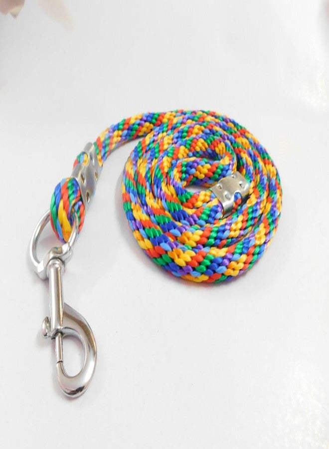 Skora Thick Nylon Rope Leash for Large Dogs (Multicolor) - Image 1